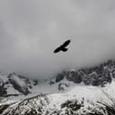 Ảnh thu nhỏ 2
